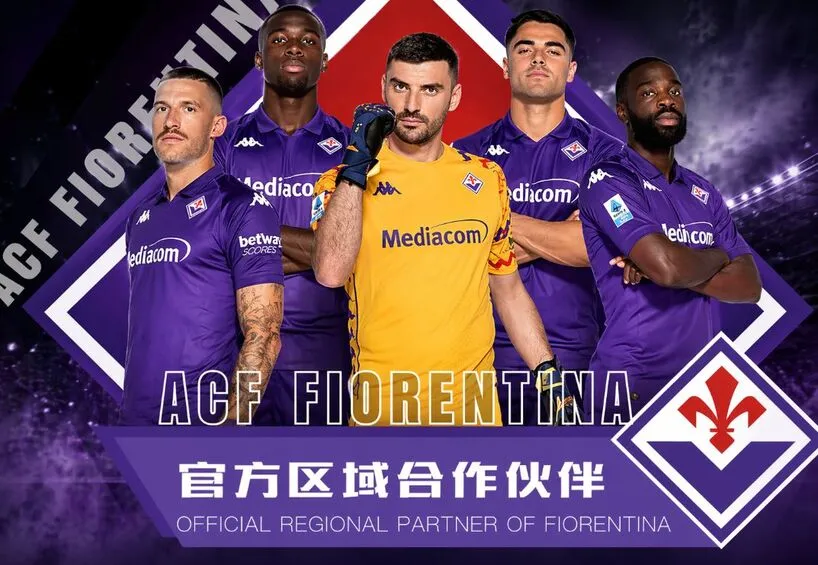 数据内容
